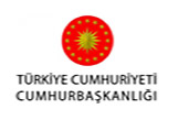 borusan
