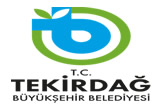 borusan